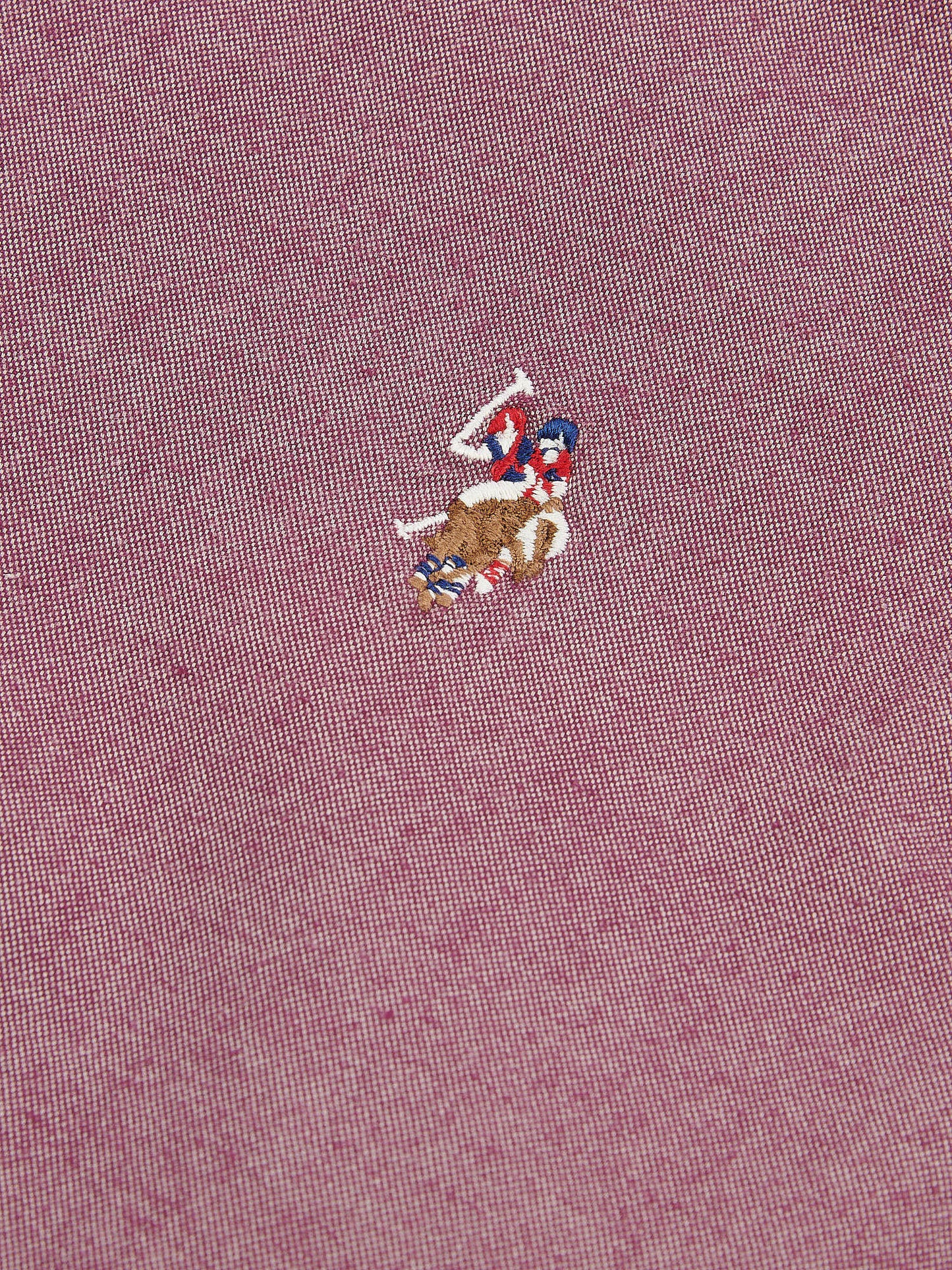 Mens Peached Oxford Shirt in Grape Wine