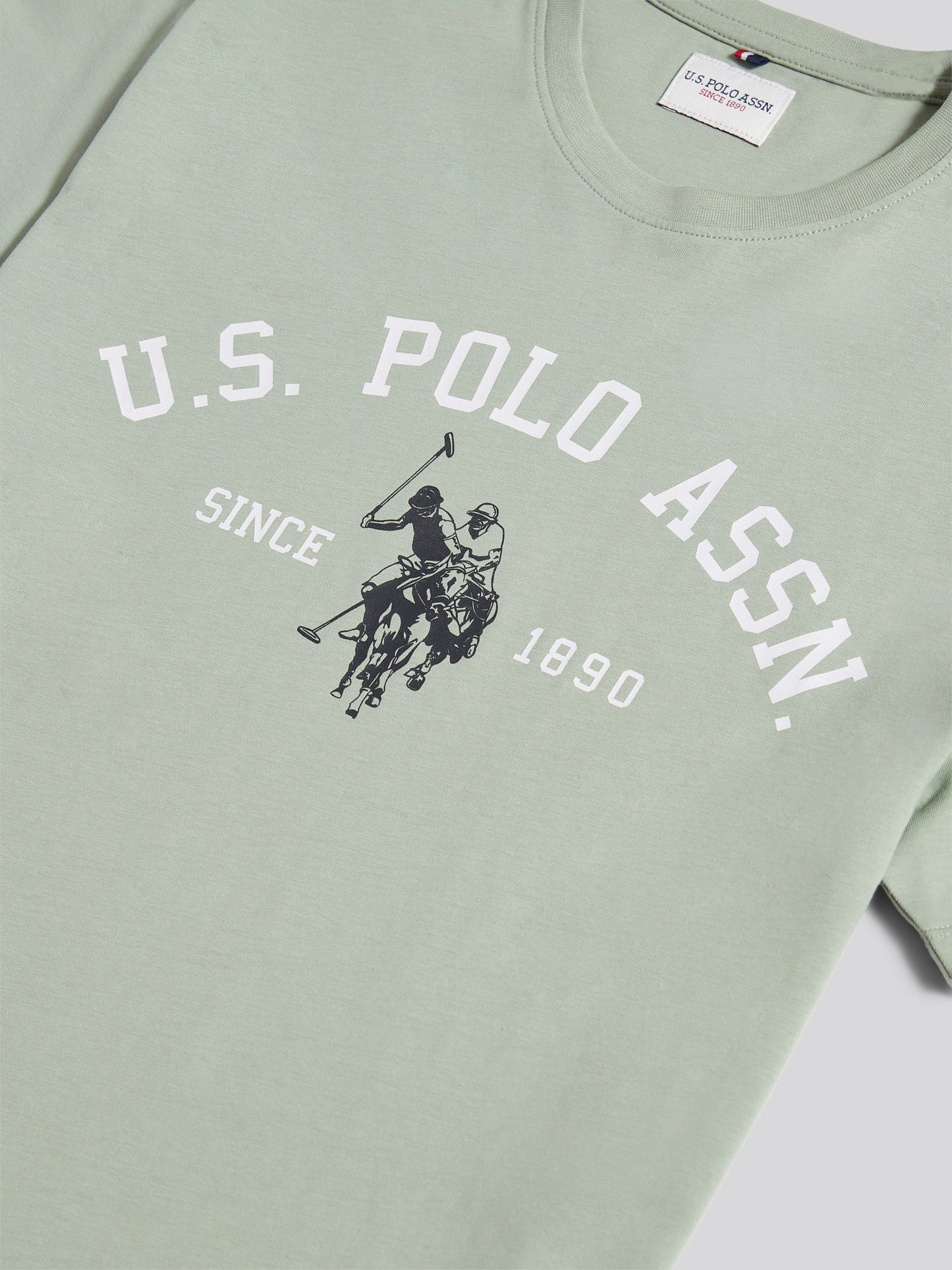 Mens Signature Arch Print T-Shirt in Iceberg Green