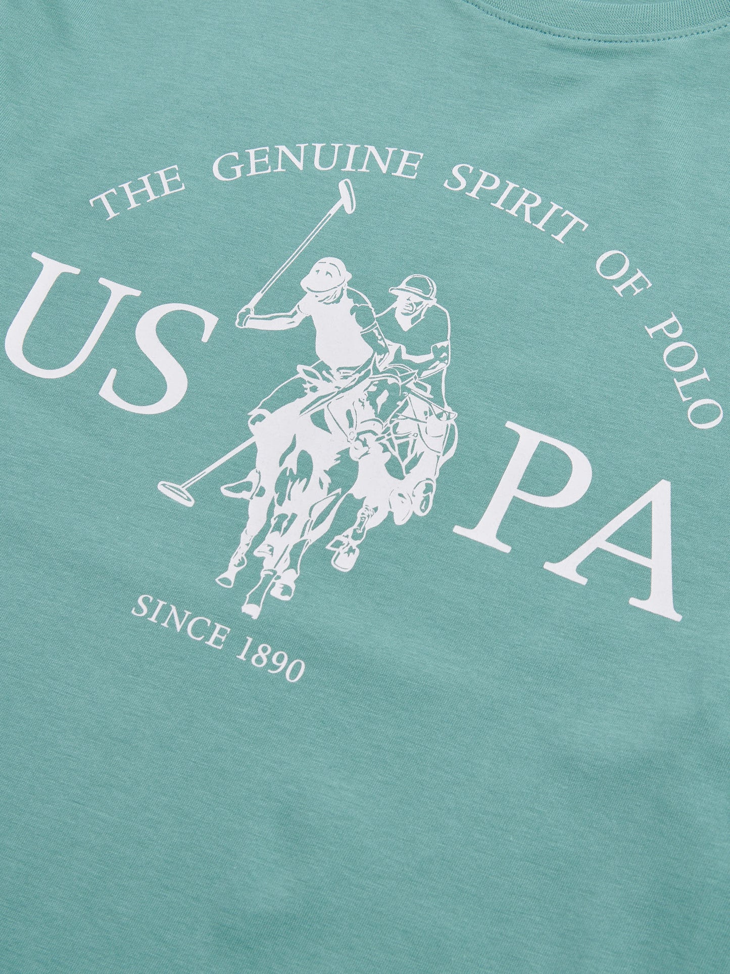 Mens USPA Print Graphic T-Shirt in Arctic