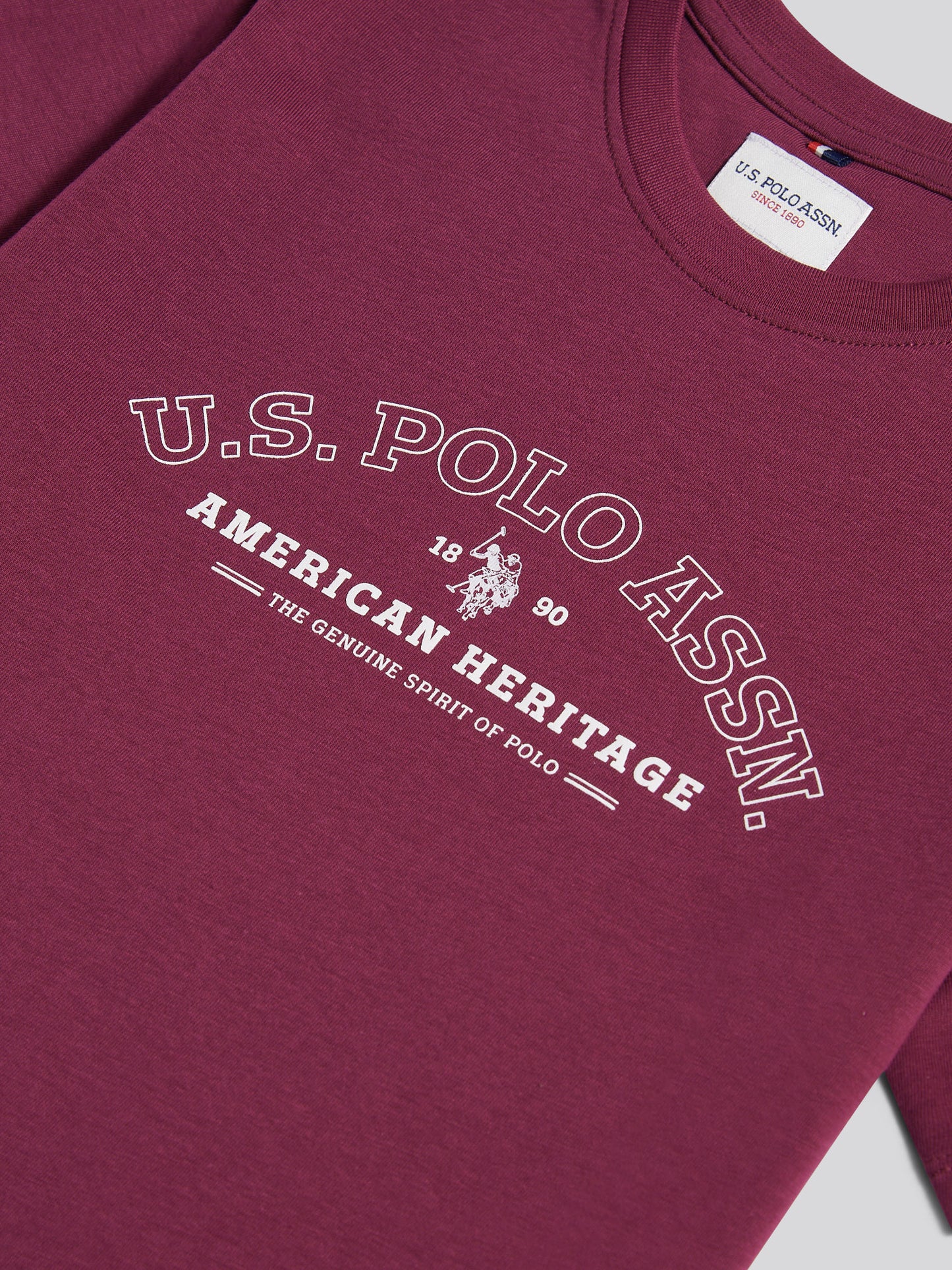 Boys Heritage Graphic Print T-Shirt in Grape Wine