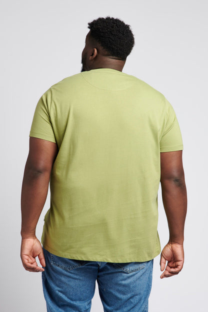 Mens Big & Tall USPA Graphic T-Shirt in Mosstone