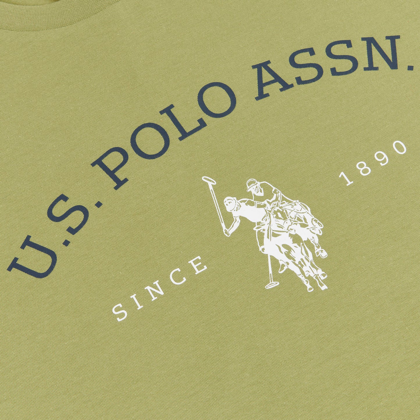 Mens Big & Tall USPA Graphic T-Shirt in Mosstone