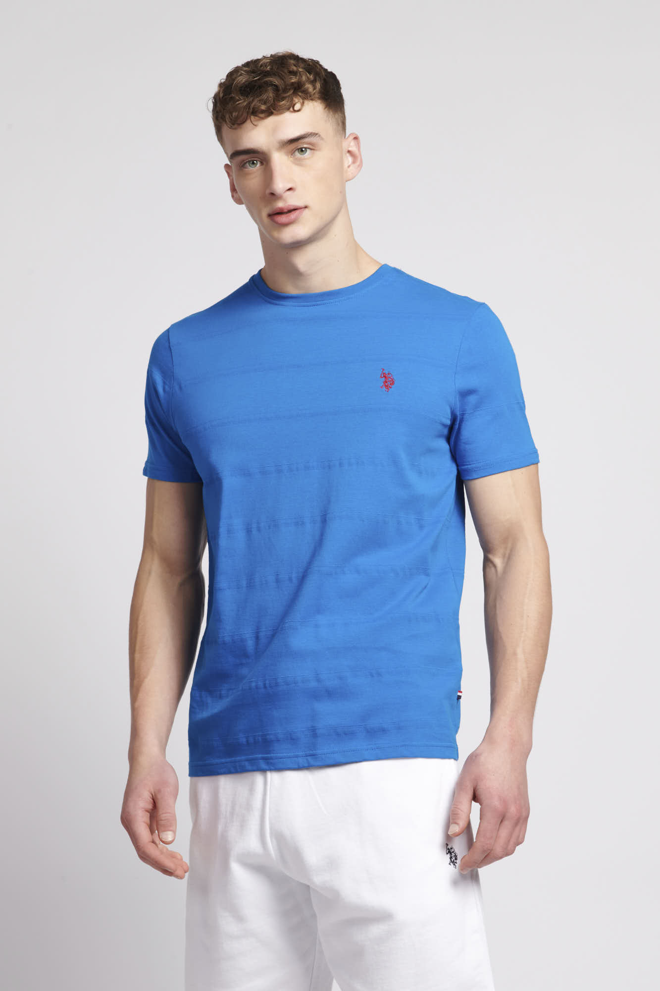 U.S. Polo Assn. Mens Texture Stripe T-Shirt in Directoire Blue