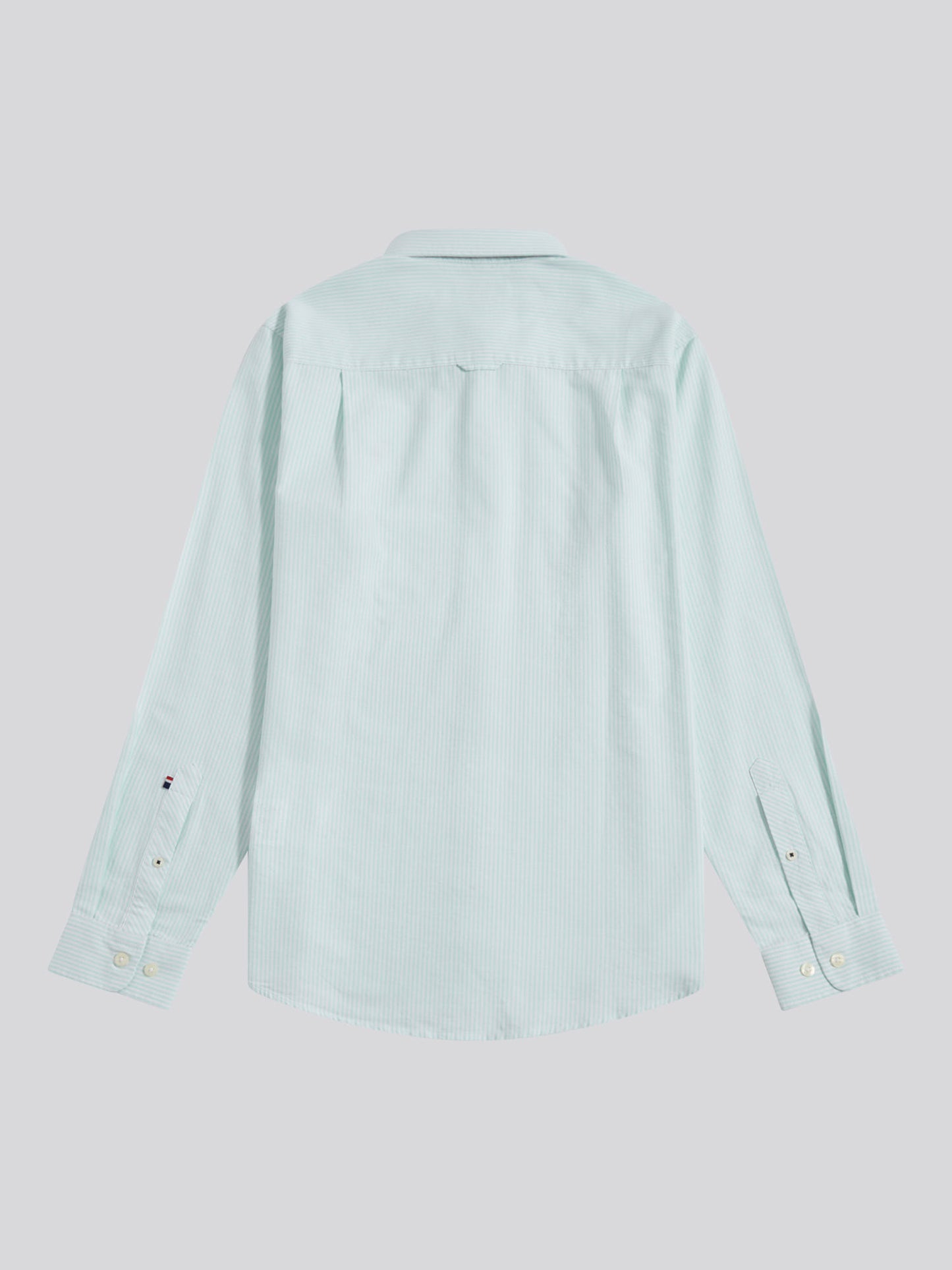 Mens Oxford Stripe  Shirt in Ice Green