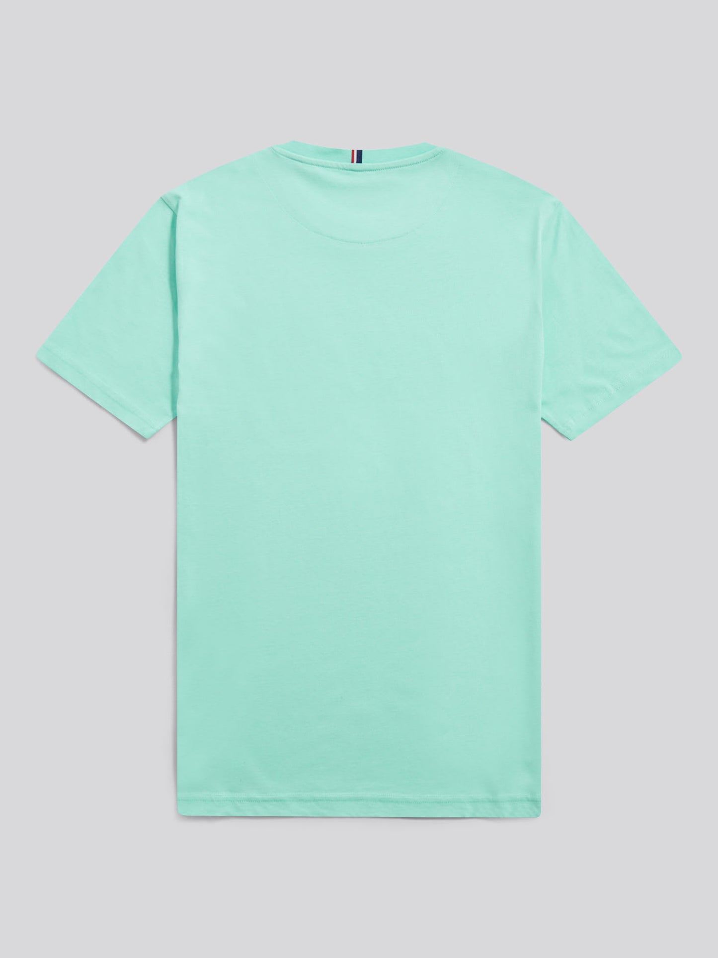 Mens Double Horsemen T-Shirt in Ice Green