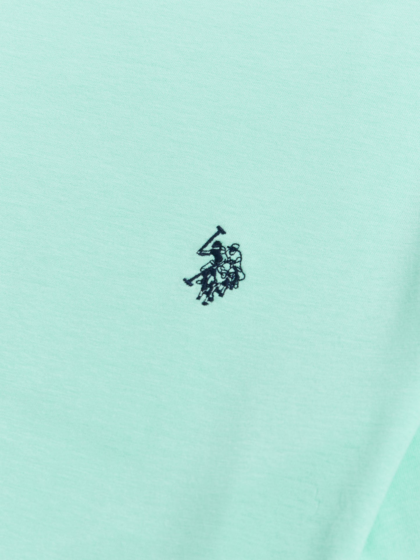 Mens Double Horsemen T-Shirt in Ice Green