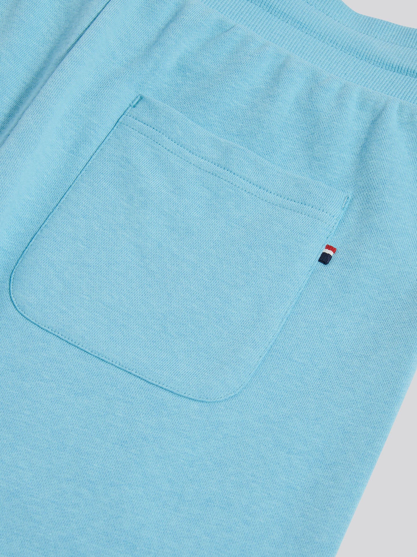 Mens Double Horsemen Sweat Shorts in Air Blue