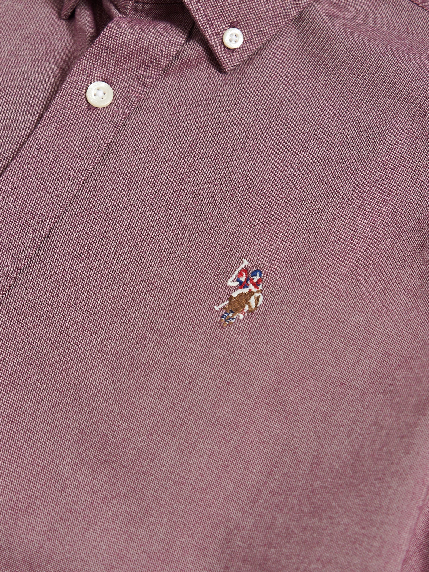 Mens Short Sleeve Oxford Shirt in Grape Wine