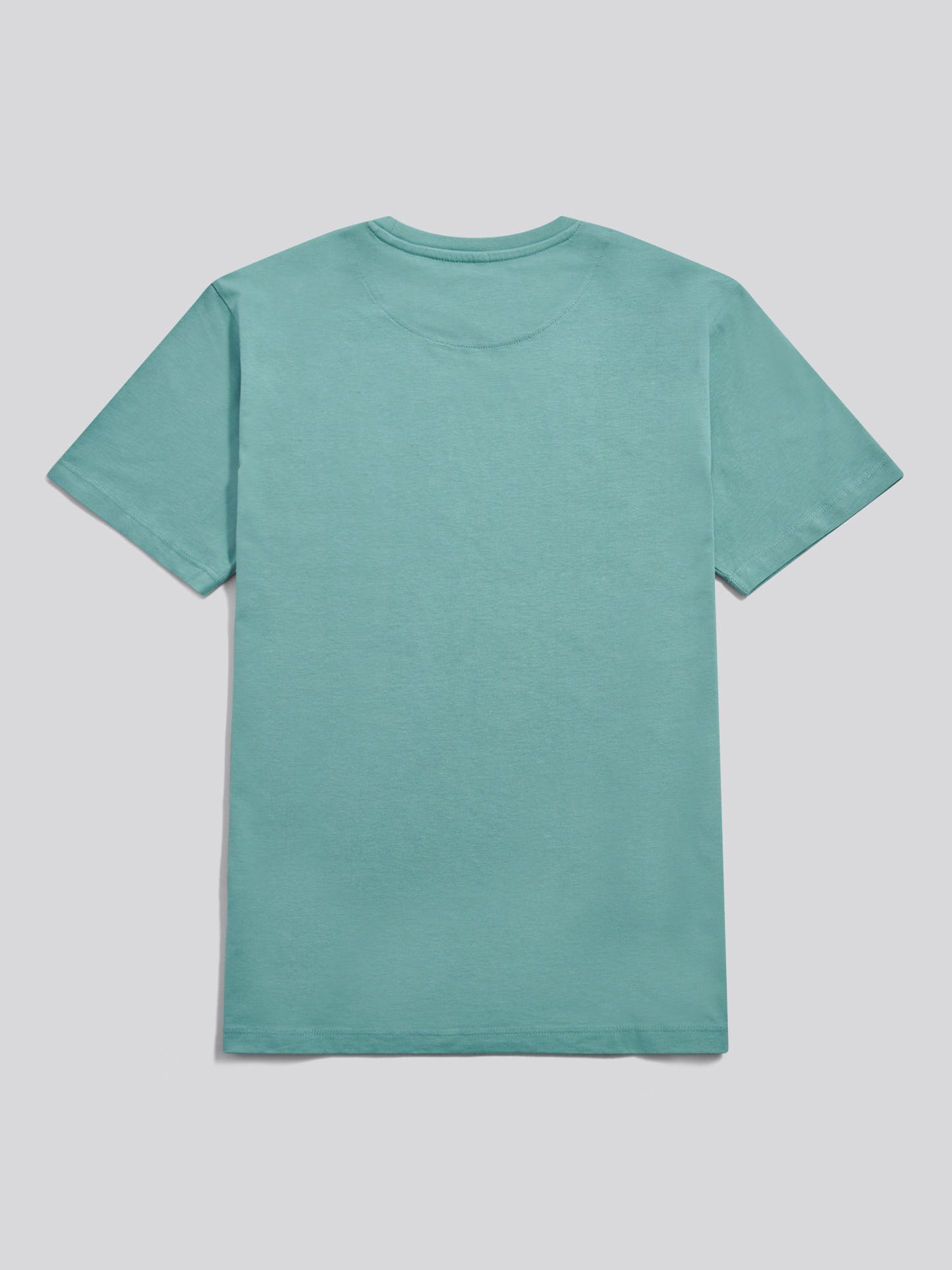 Mens USPA Print Graphic T-Shirt in Arctic