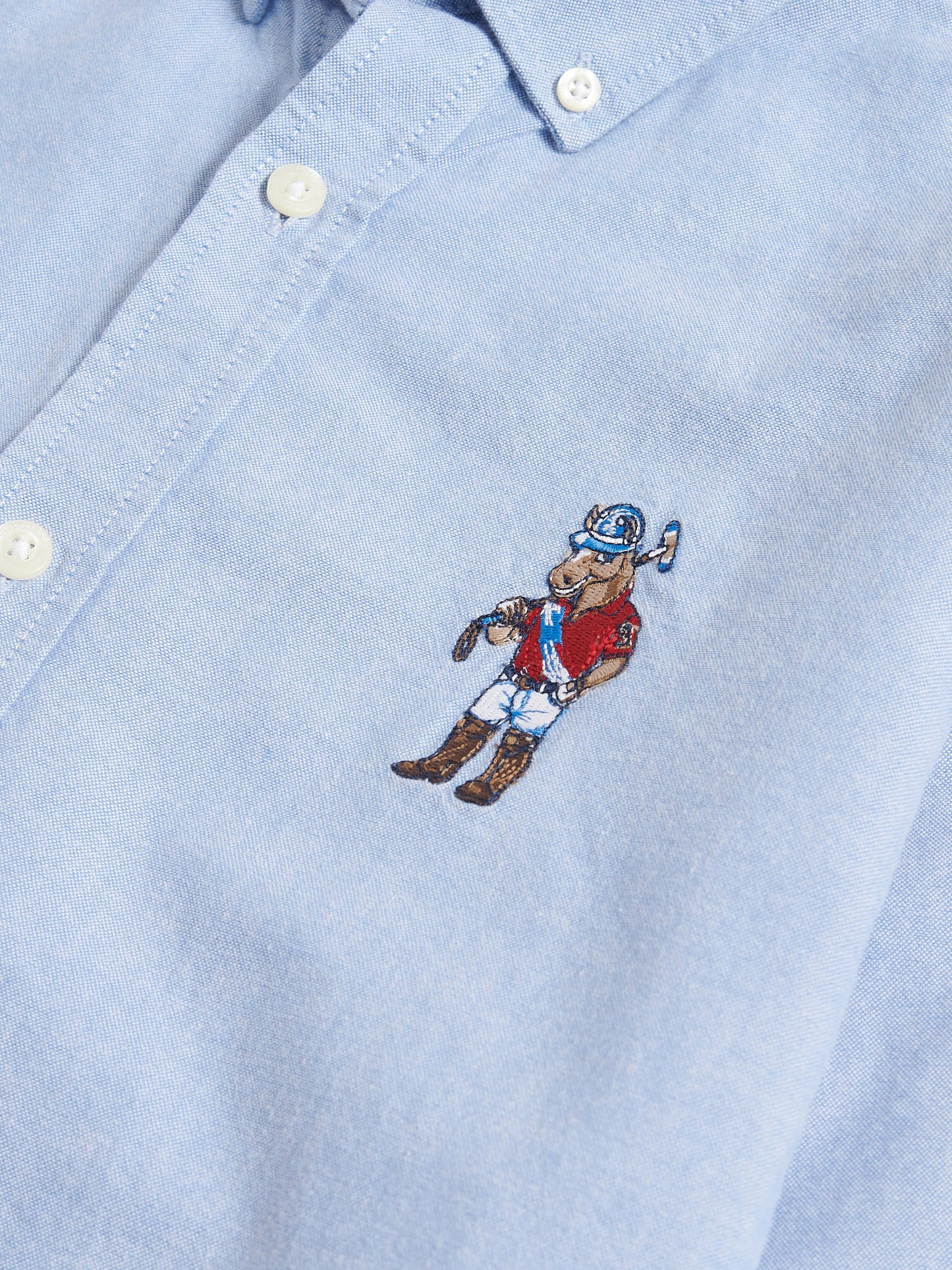 Mens Chuck Oxford Shirt in Blue Yonder