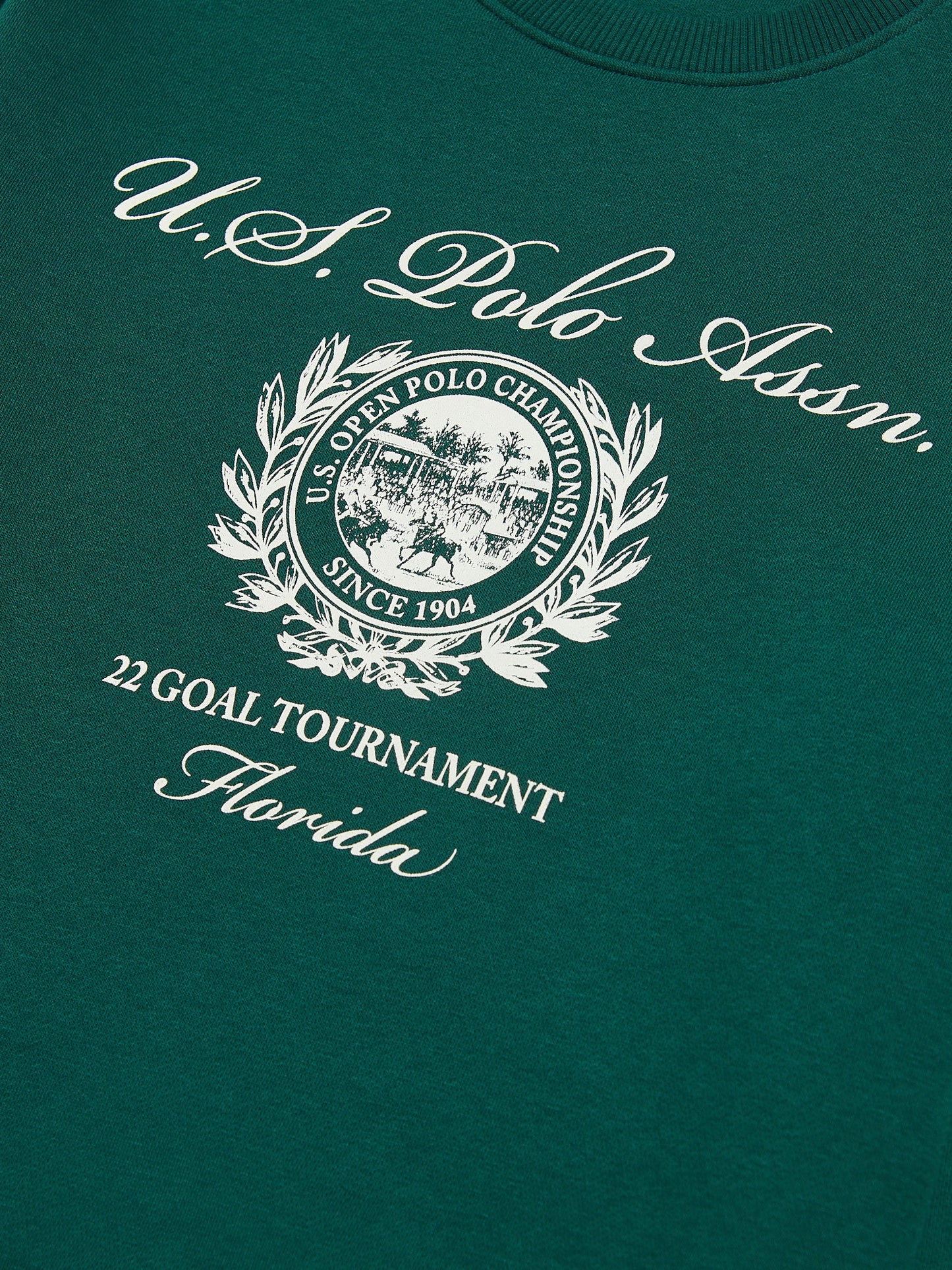 Mens Collegiate Goal Tournament Graphic Sweatshirt Rain Forest