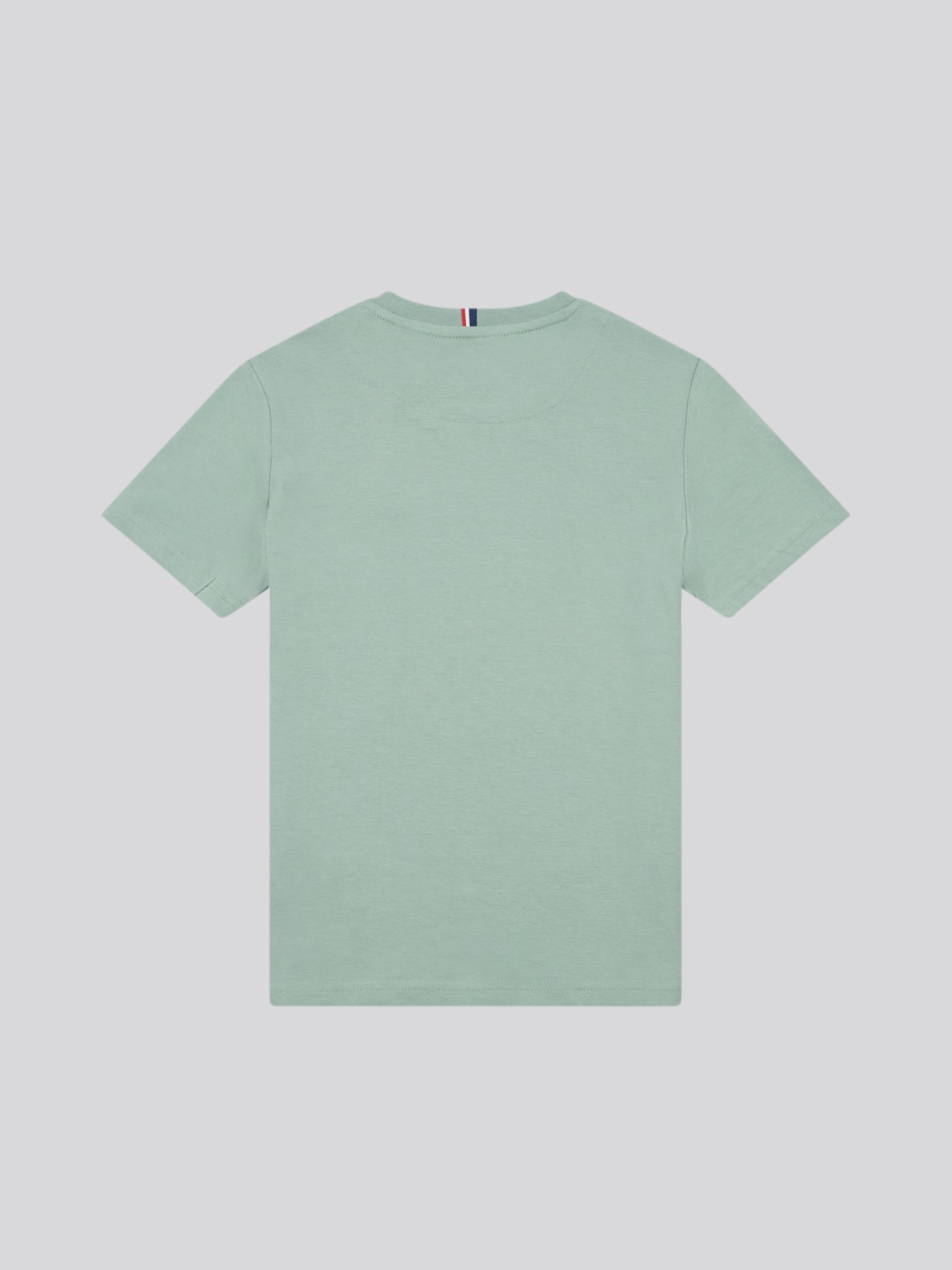 Boys Double Horsemen T- Shirt in Chinois Green