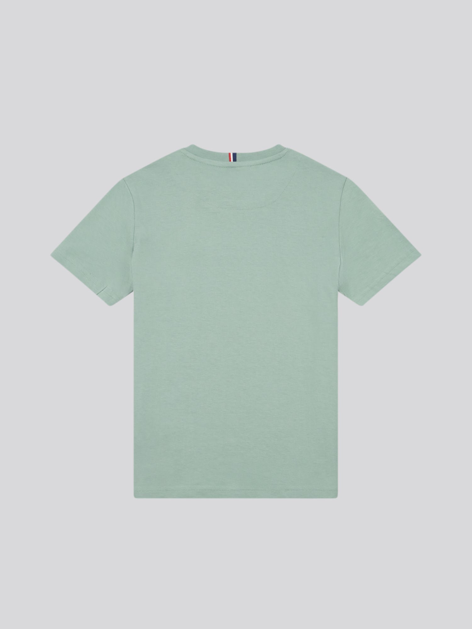 Boys Double Horsemen T- Shirt in Chinois Green