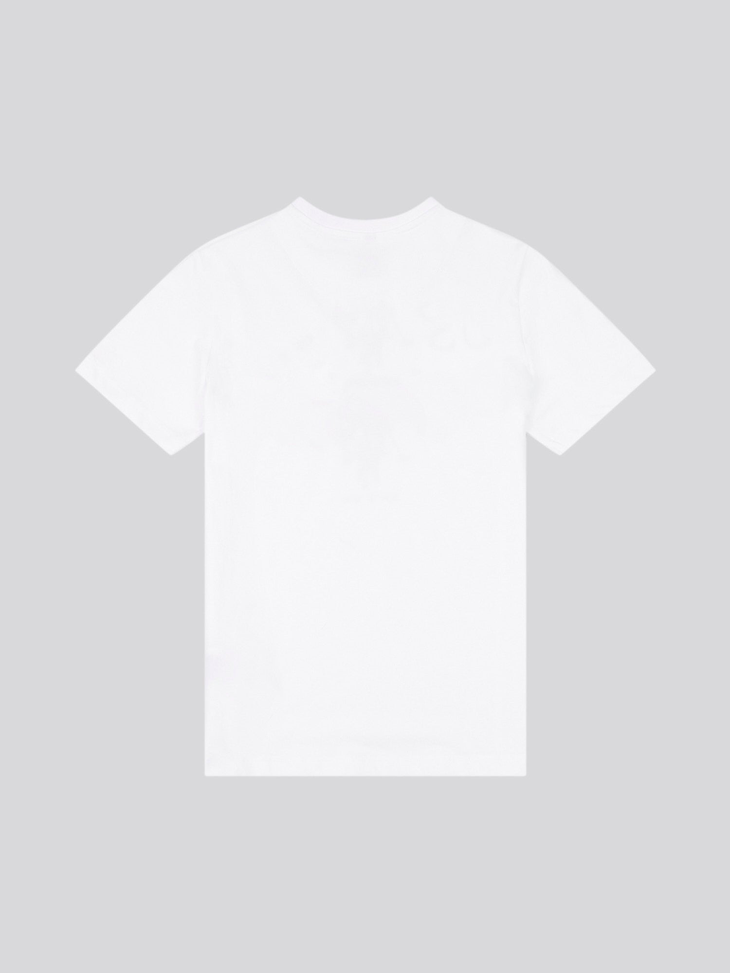 Boys USPA Print Graphic T-Shirt in Bright White