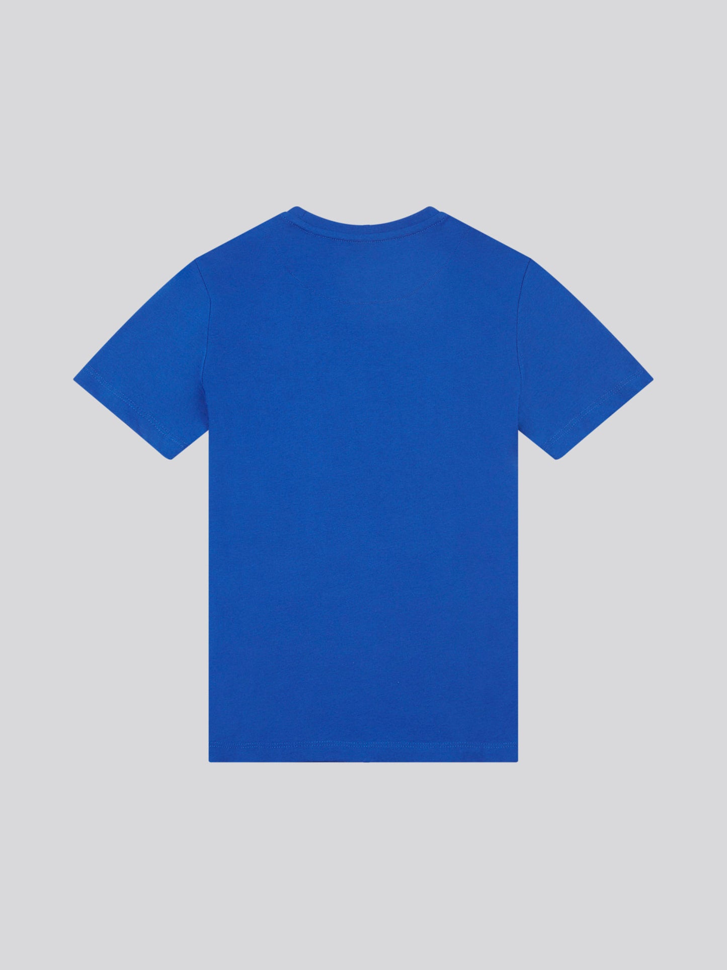 Boys USPA Print Graphic T-Shirt in Sodalite Blue