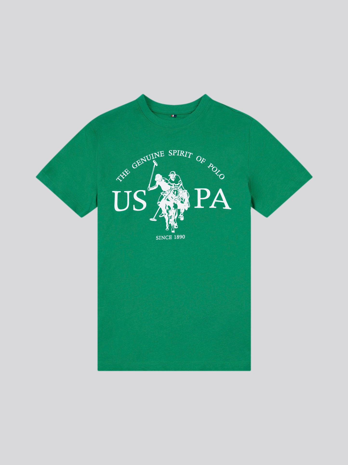 Boys USPA Print Graphic T-Shirt in Lush Meadow