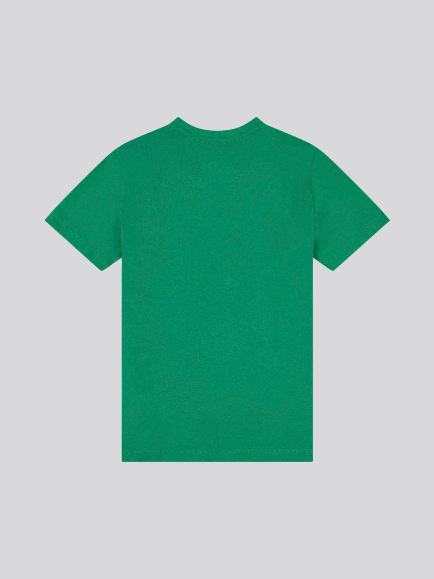 Boys USPA Print Graphic T-Shirt in Lush Meadow