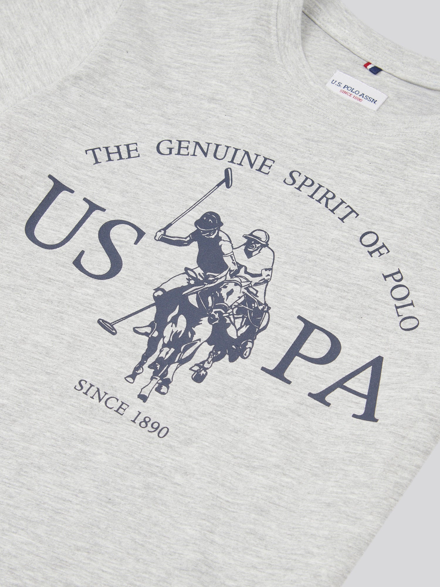 Boys USPA Print Graphic T-Shirt in Mid Grey Marl