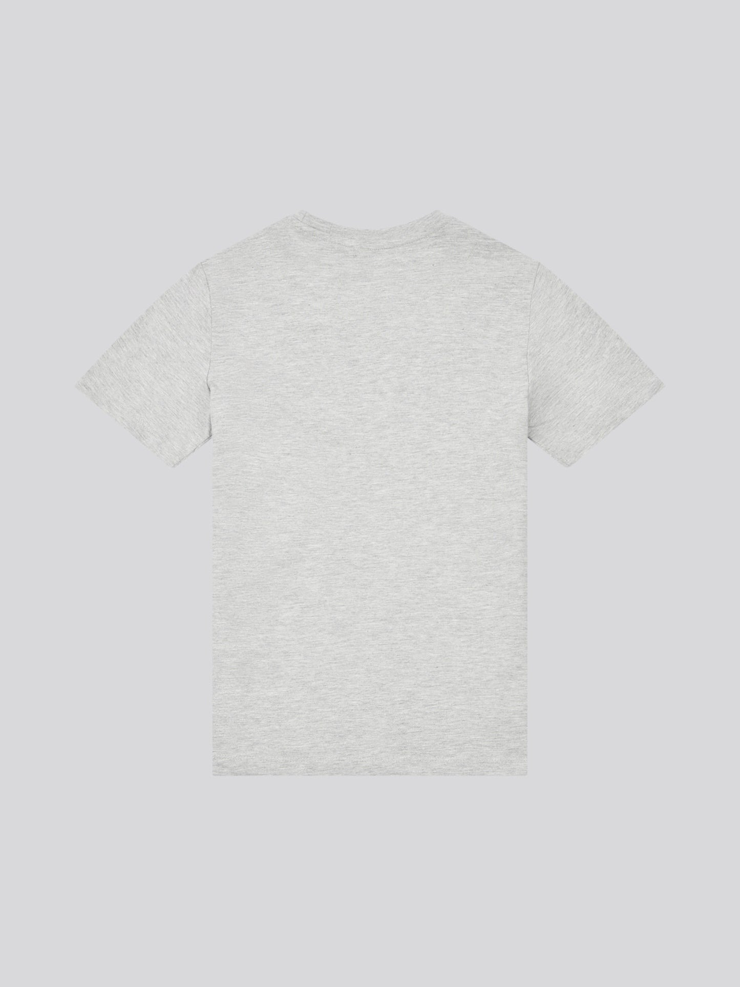 Boys USPA Circle Print T-Shirt in Mid Grey Marl