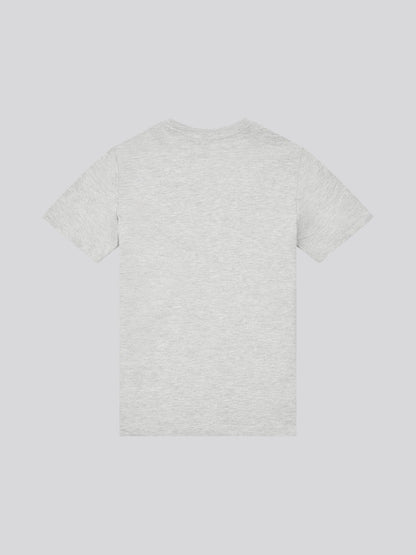 Boys USPA Circle Print T-Shirt in Mid Grey Marl