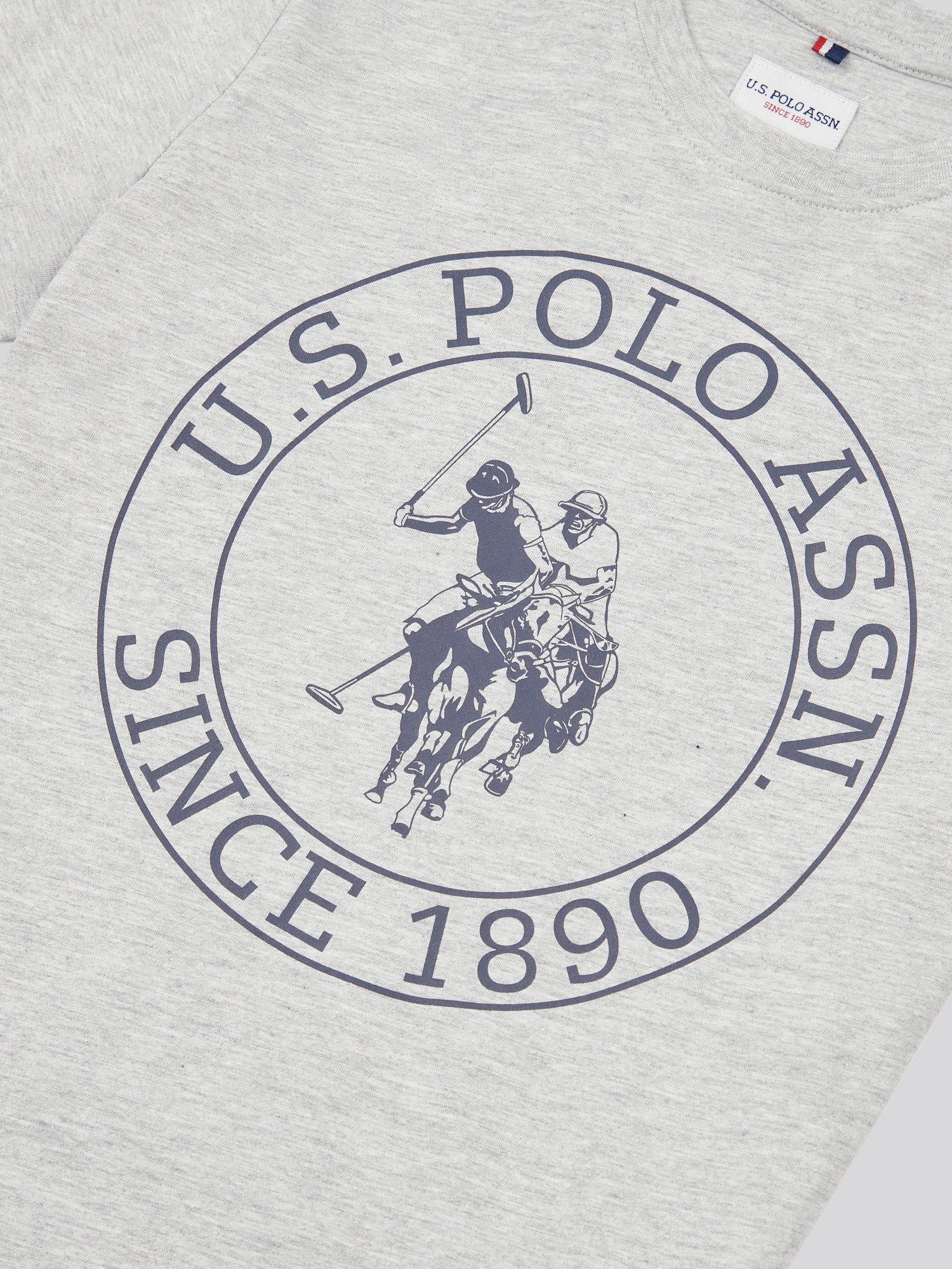 Boys USPA Circle Print T-Shirt in Mid Grey Marl