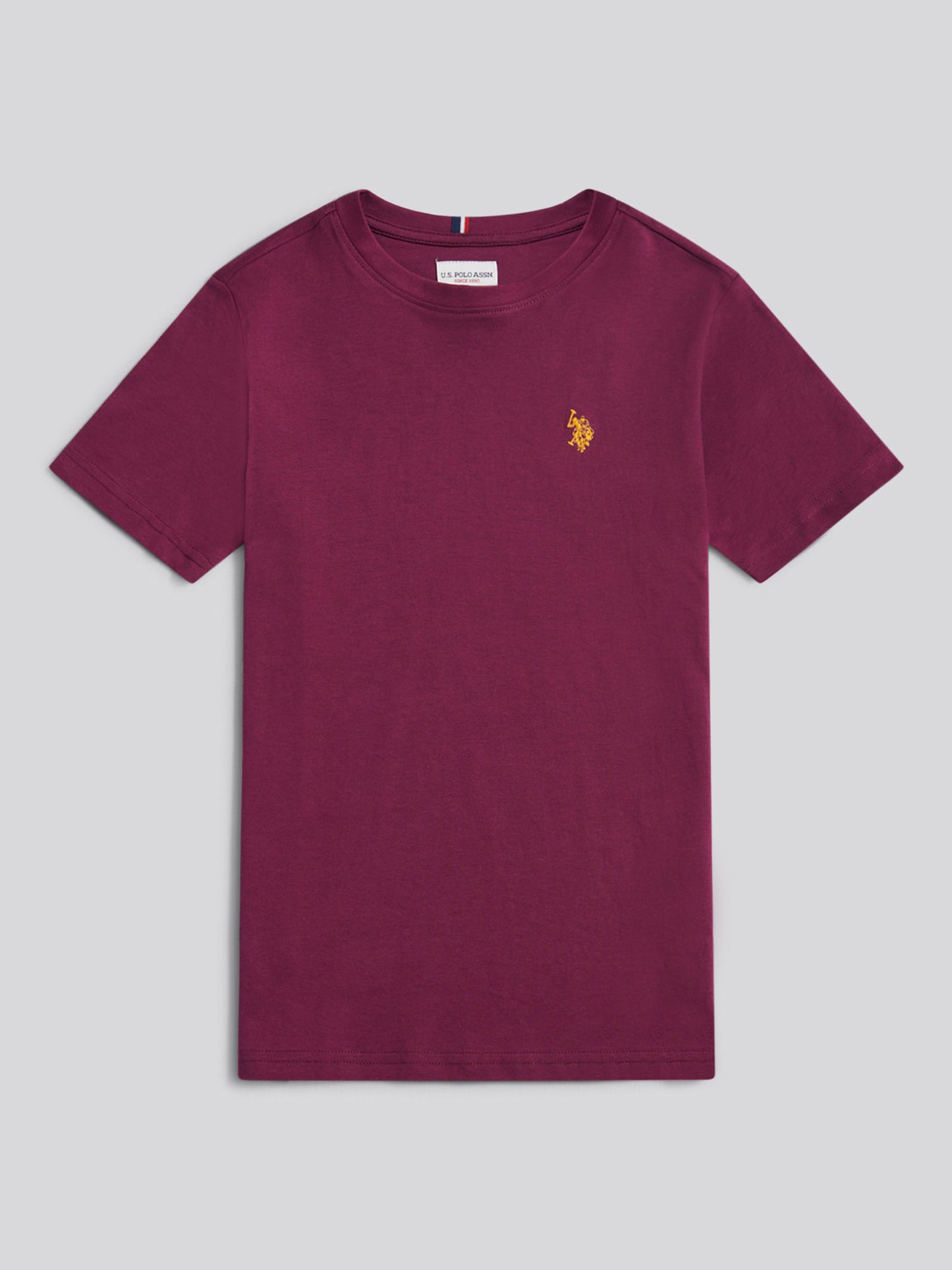 Boys Texture Double Horsemen T-Shirt in Grape Wine