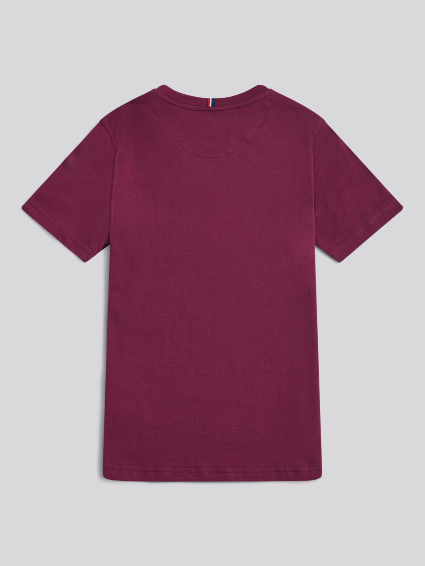 Boys Texture Double Horsemen T-Shirt in Grape Wine