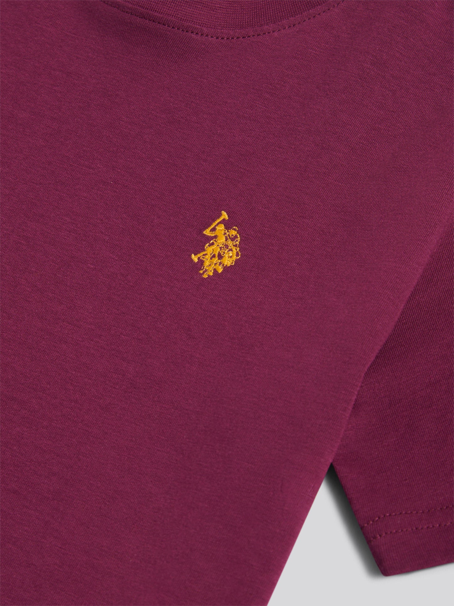 Boys Texture Double Horsemen T-Shirt in Grape Wine