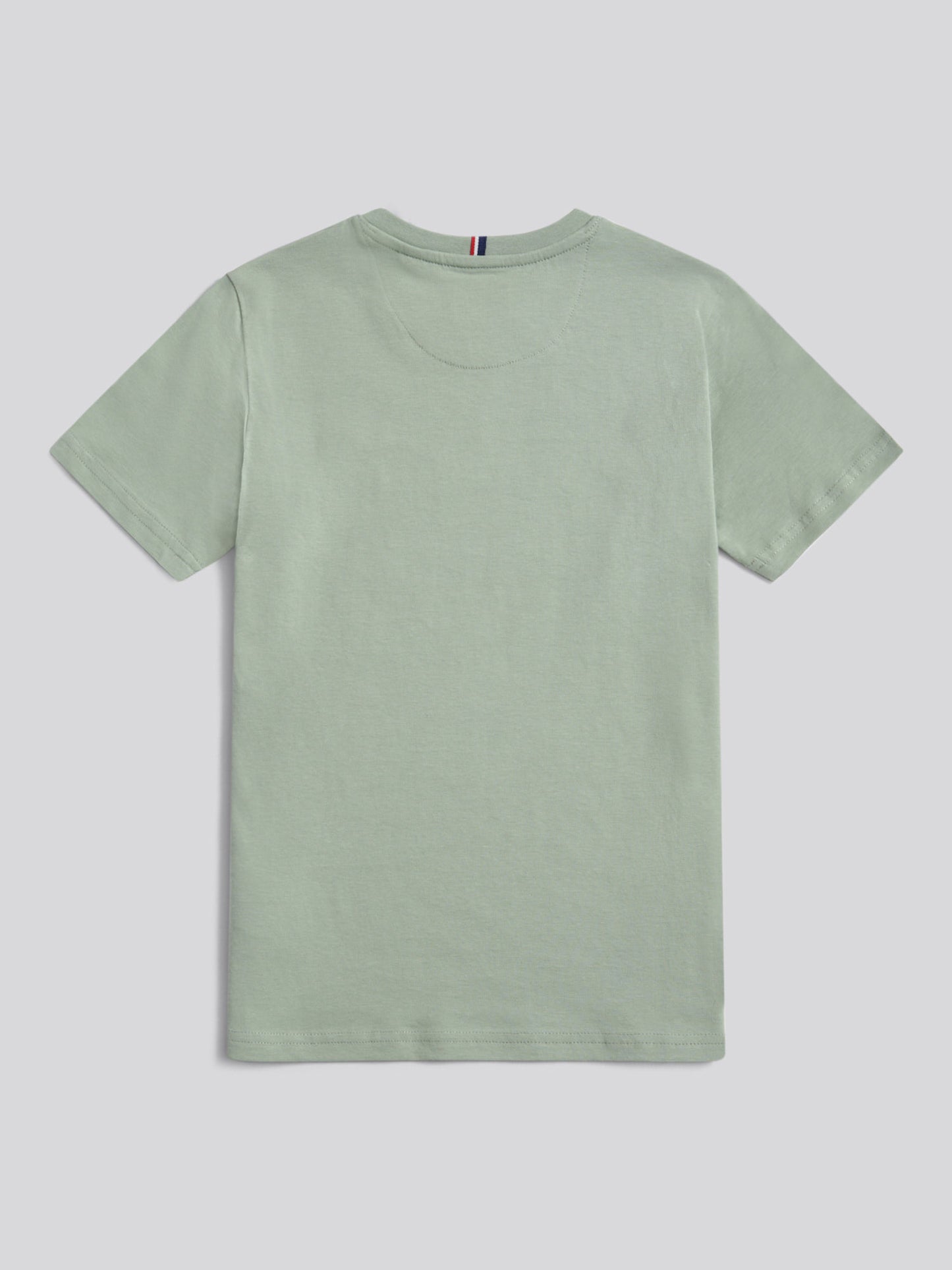 Boys Texture Double Horsemen T-Shirt in Iceberg Green