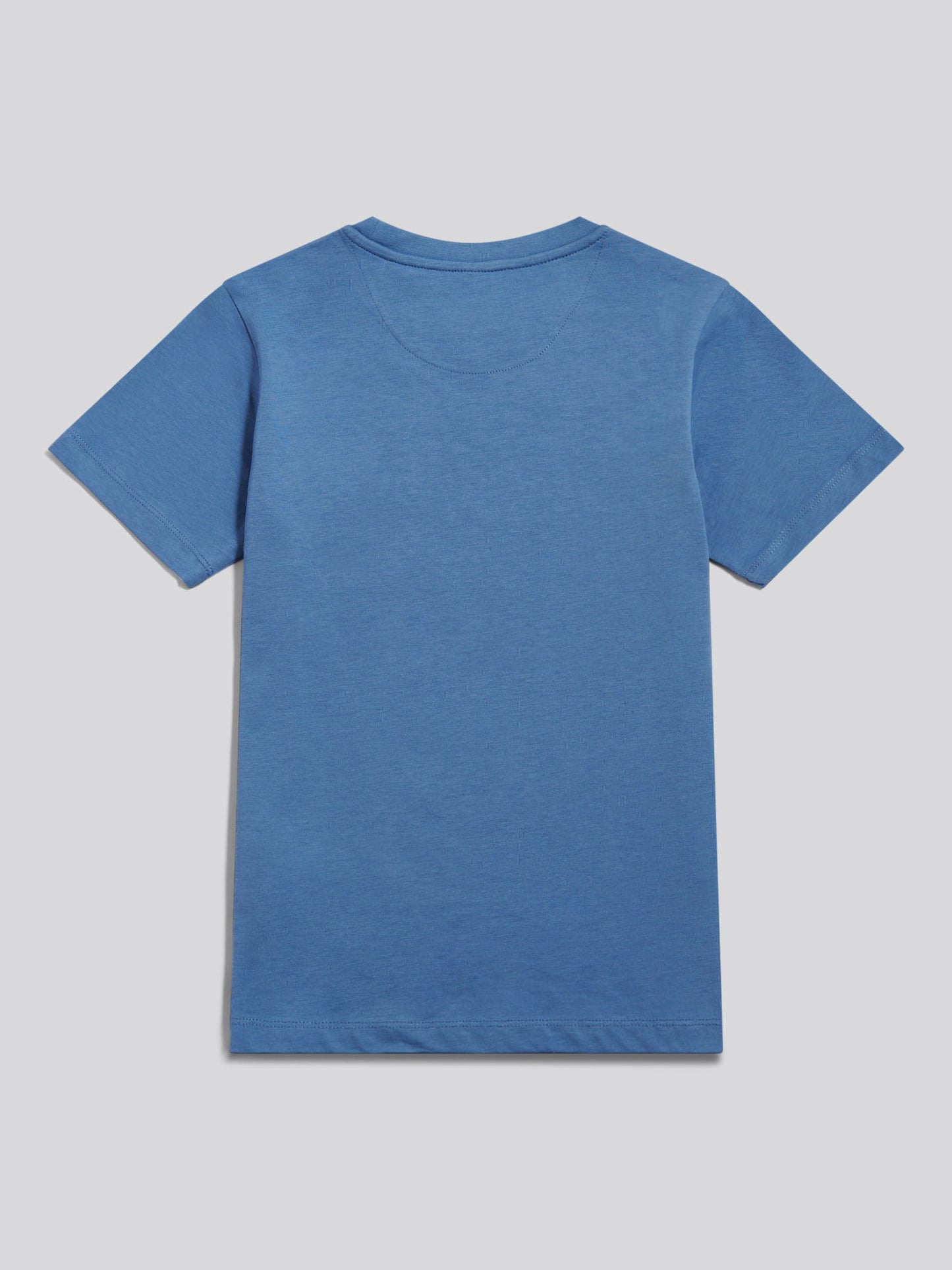 Boys USPA Print Graphic T-Shirt in Blue Horizon
