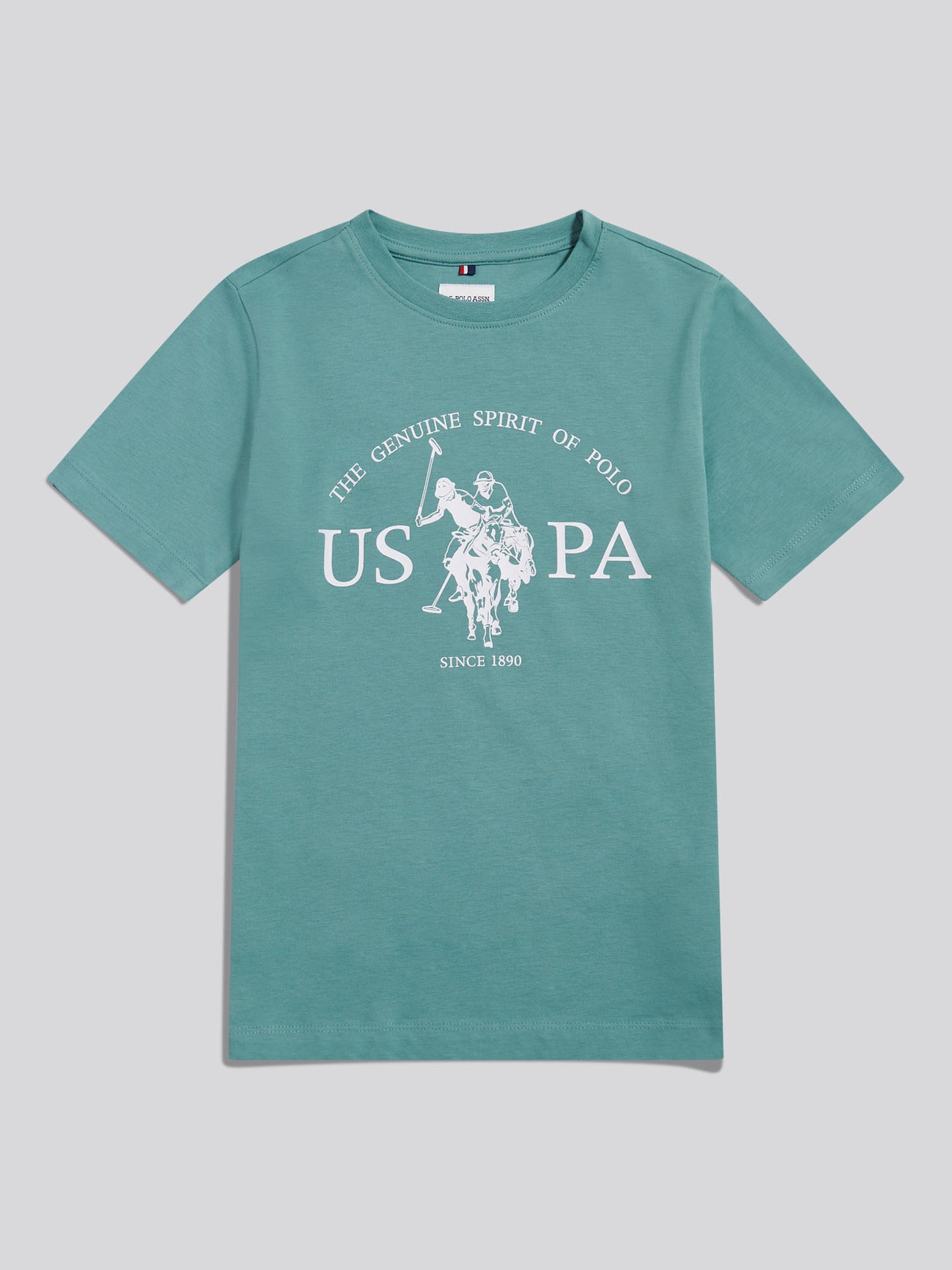 Boys USPA Print Graphic T-Shirt in Arctic