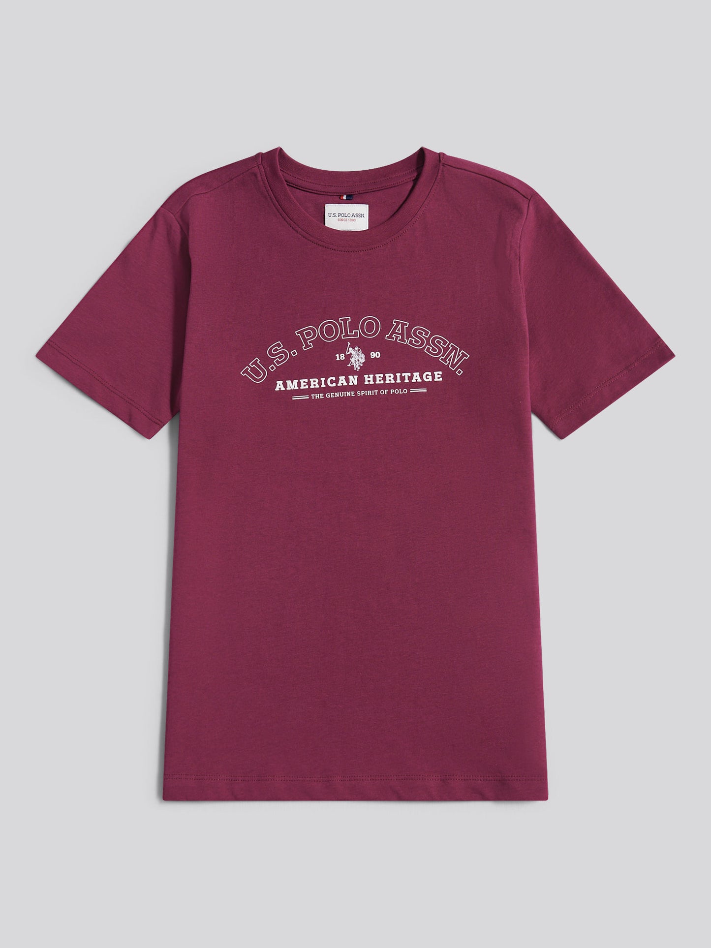 Boys Heritage Graphic Print T-Shirt in Grape Wine