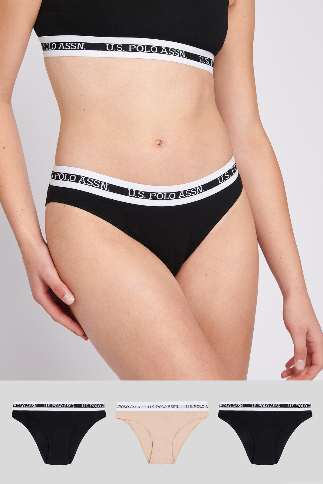 U.S. Polo Assn. Womens 3 Pack Cotton Bikini Briefs in Black