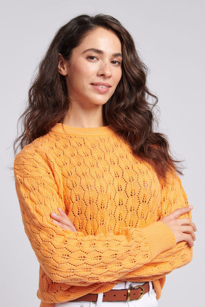 Womens Regular Fit Pointelle Knit Jumper in Mock Orange