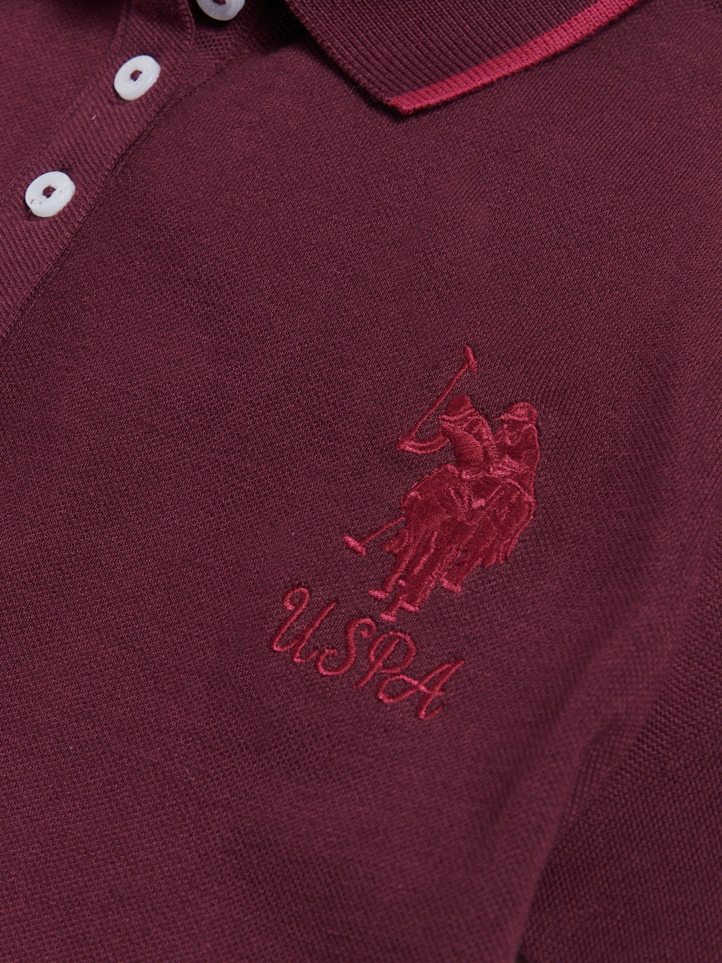 Womens Sash Player 3 Polo Shirt in Fig