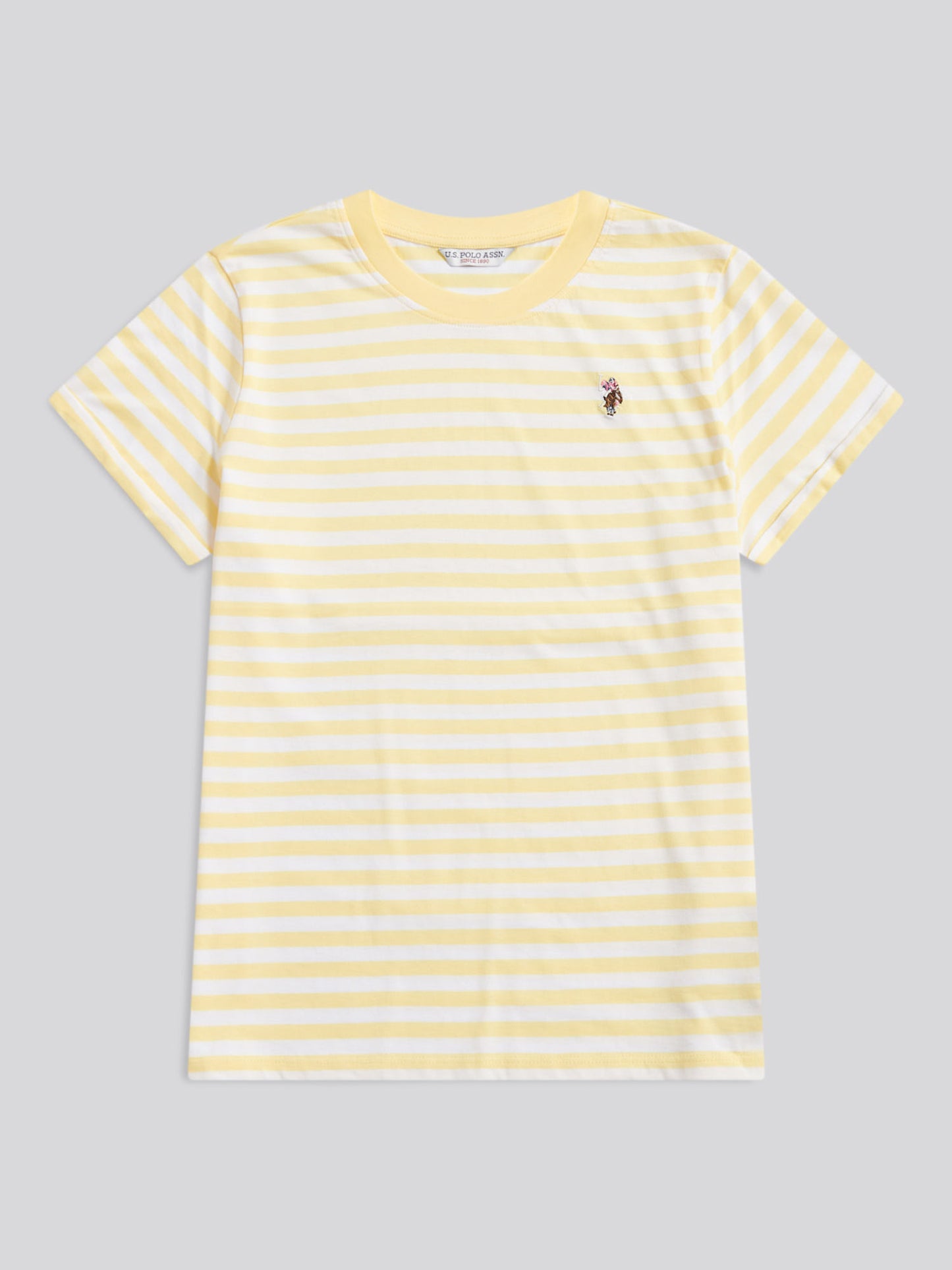 Womens Stripe Crew Neck T-Shirt in Lemon Meringue