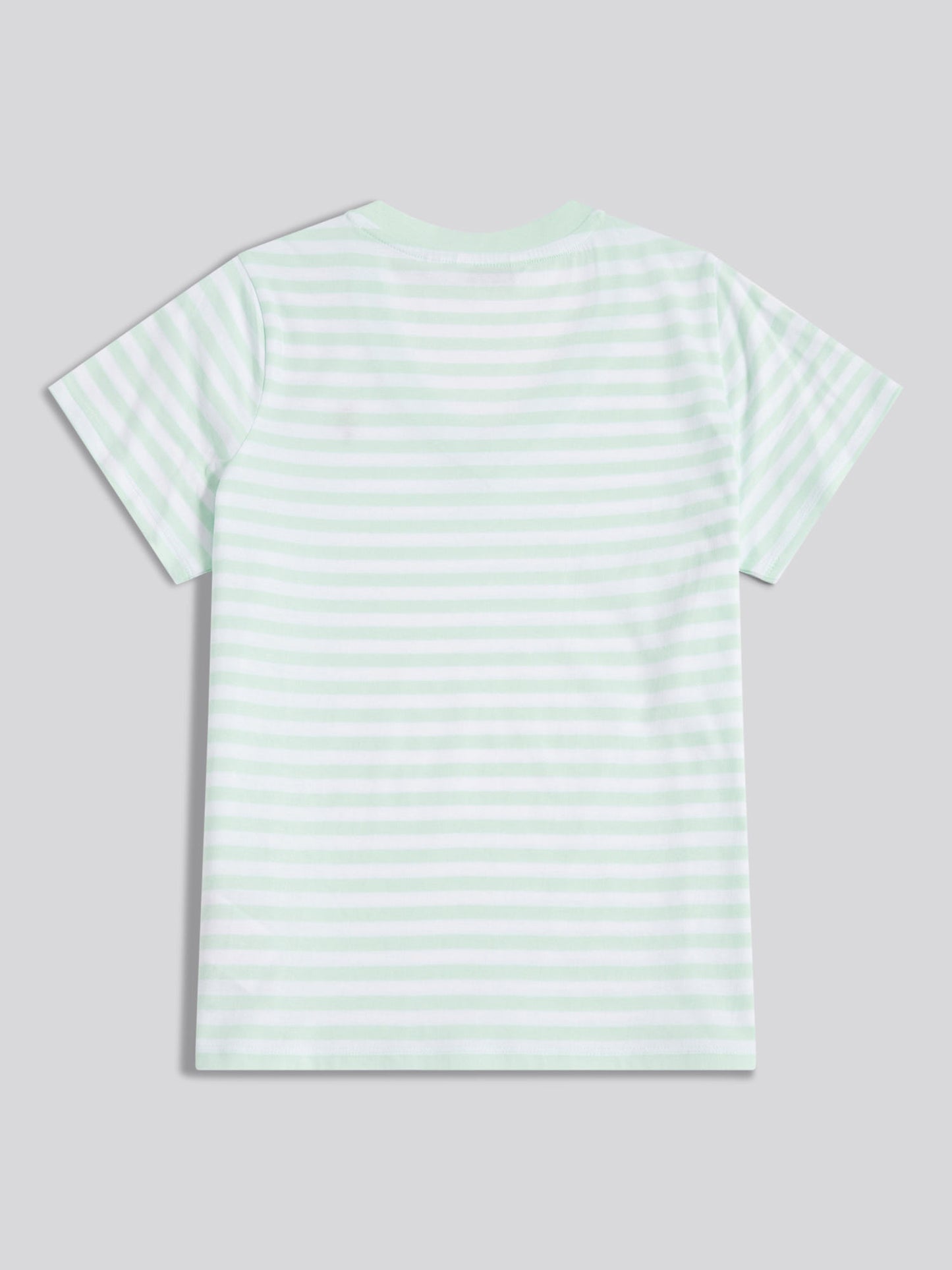 Womens Stripe V-Neck Neck T-Shirt Misty Jade