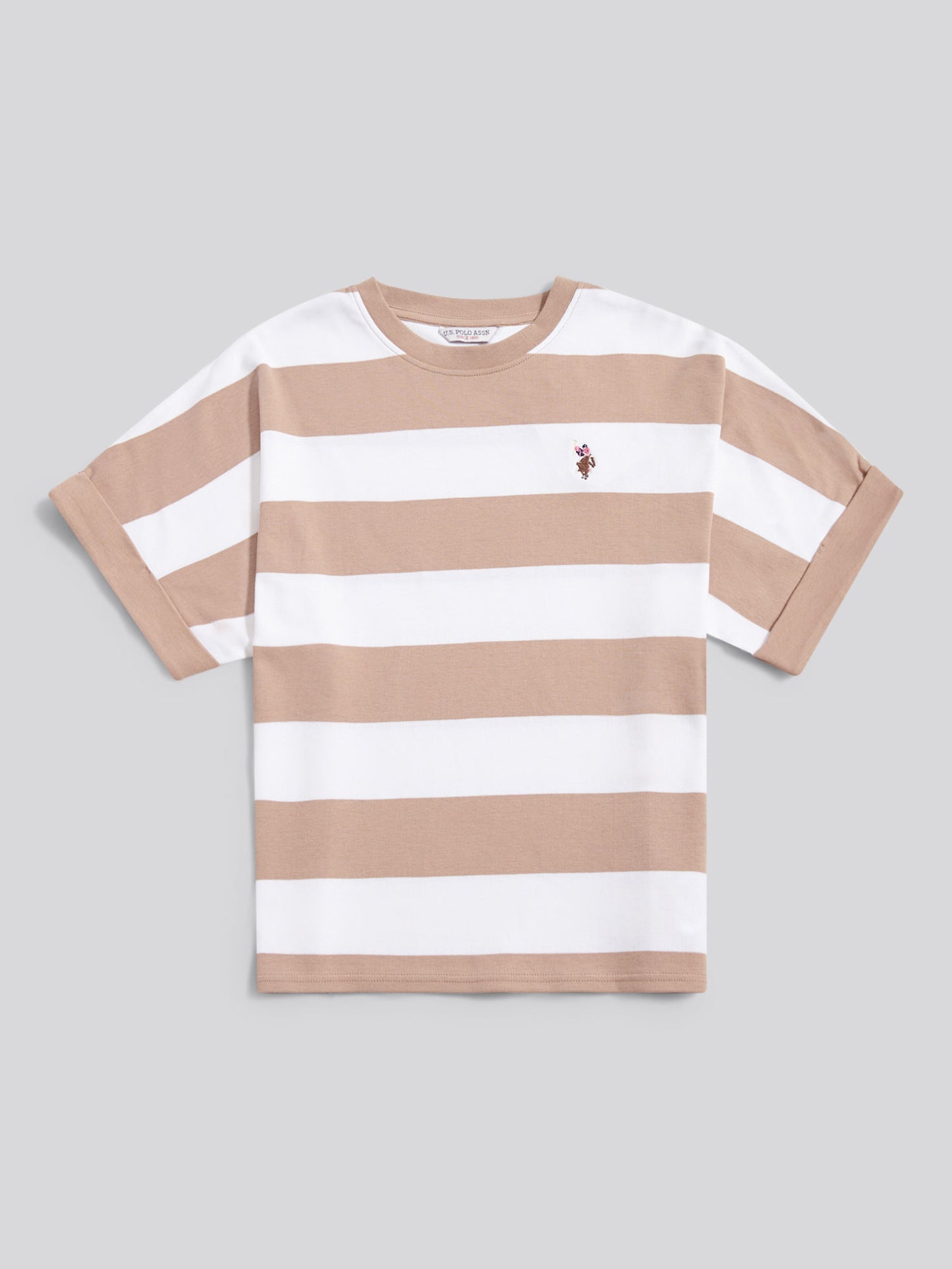 Womens Large Stripe Grown On Sleeve T-Shirt in Natural