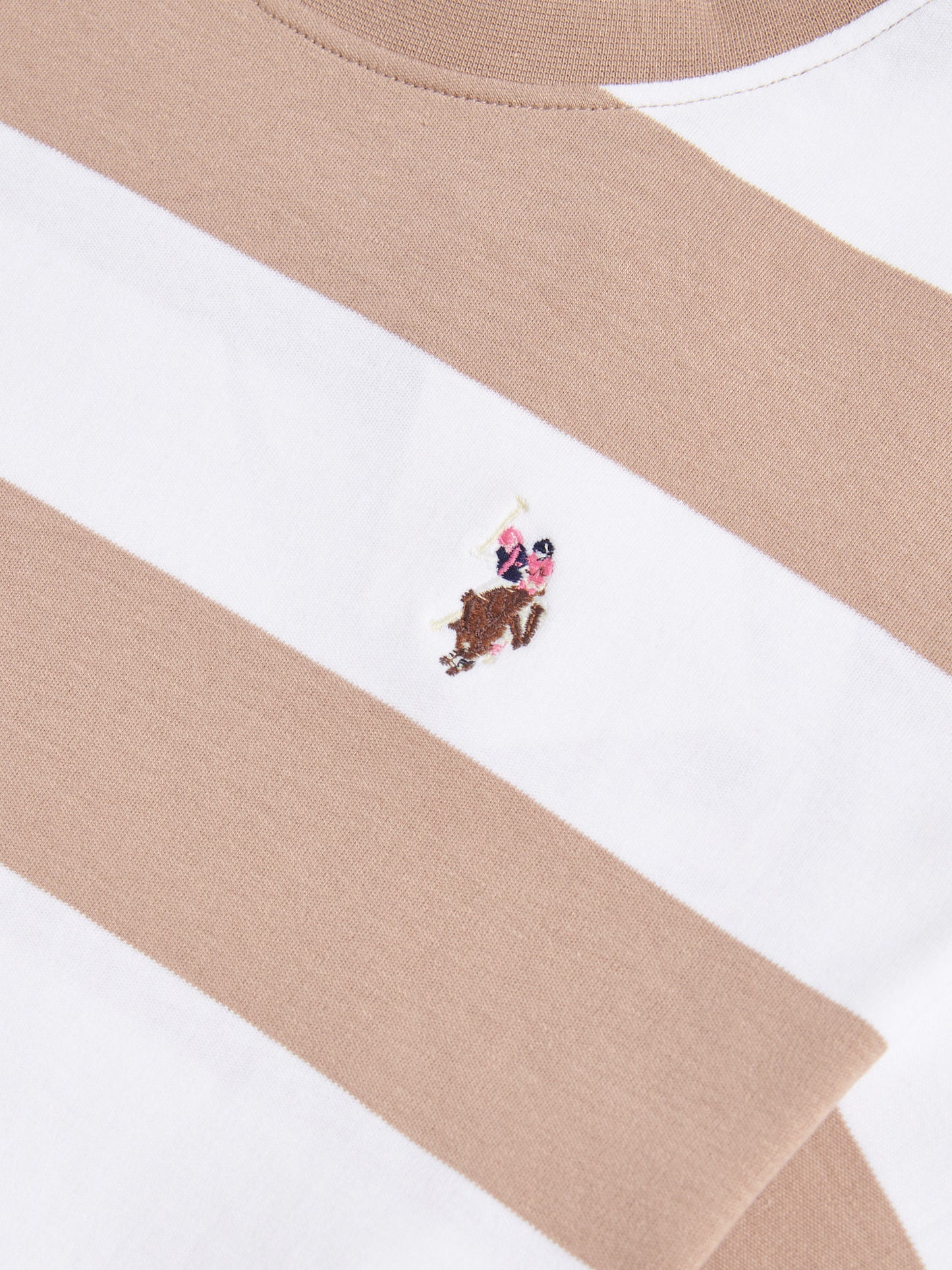 Womens Large Stripe Grown On Sleeve T-Shirt in Natural