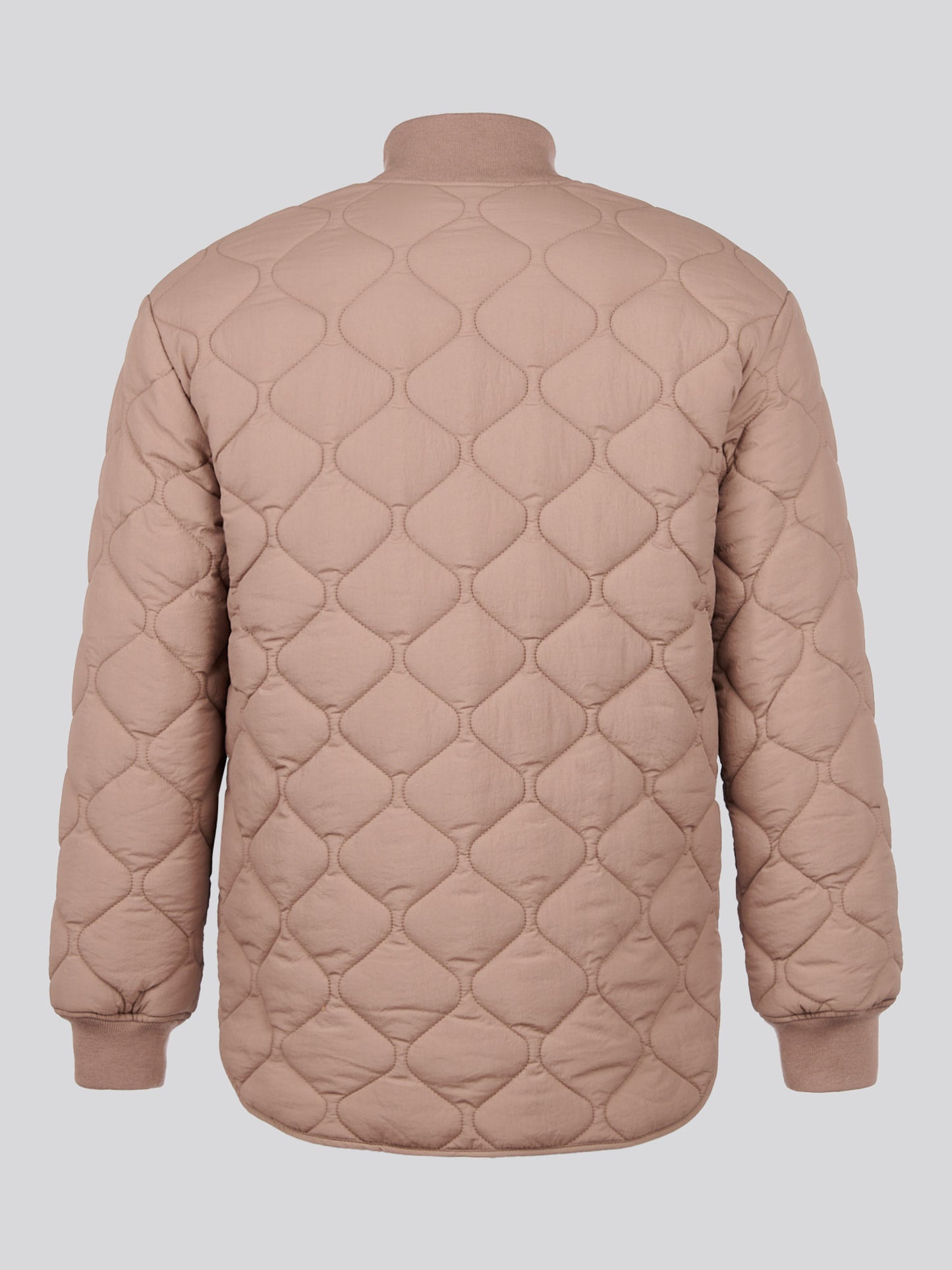 Womens Contrast Bomber Jacket in Leafless Tree