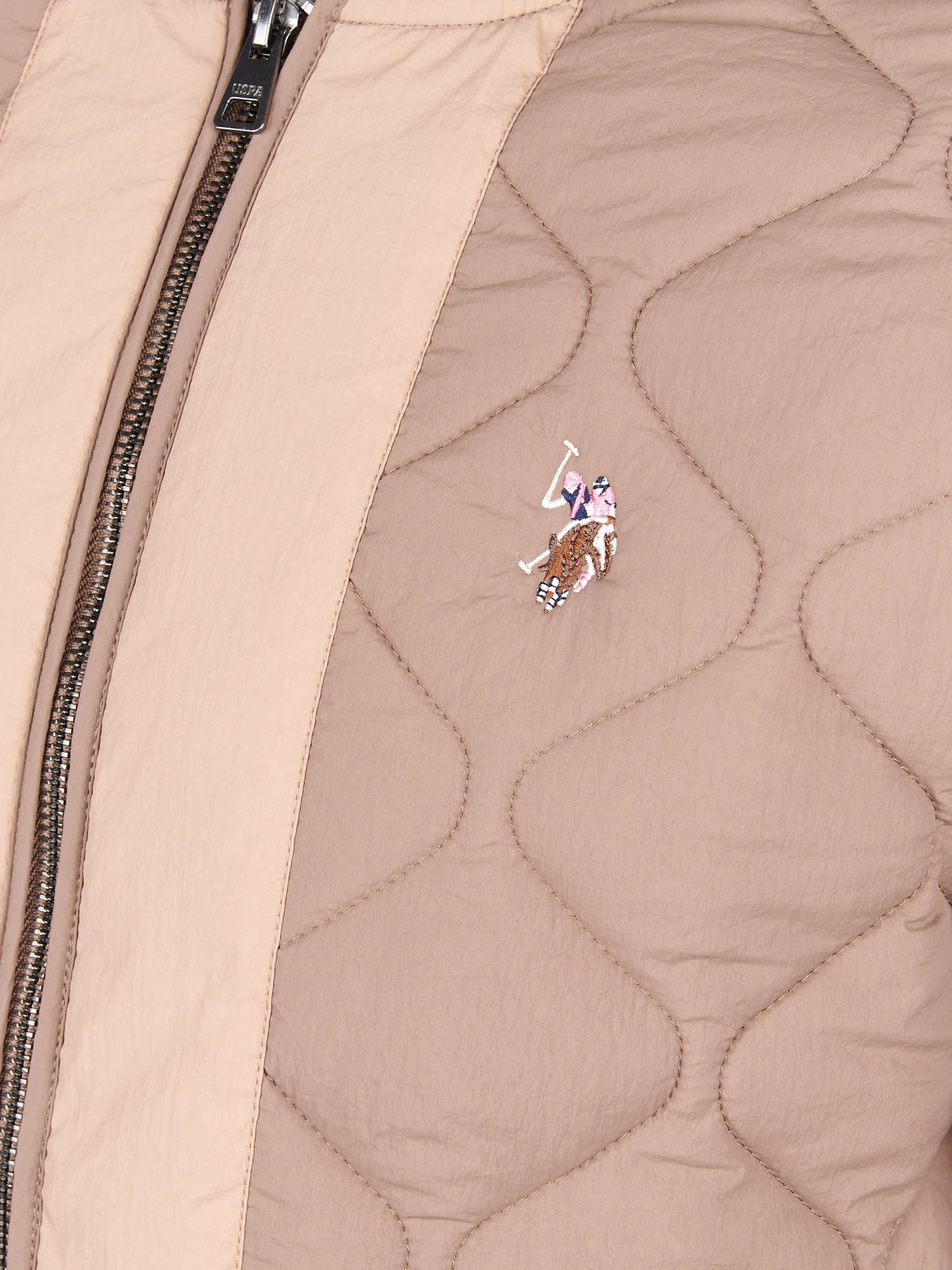 Womens Contrast Bomber Jacket in Leafless Tree